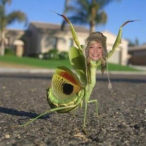 Meet your Posher, Ayla